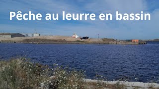 pêche au leurre avec Nico dans les bassins partie 1