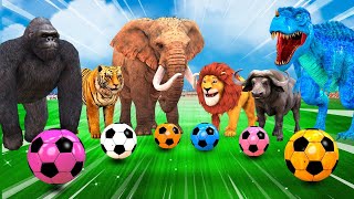 Wild Animals in Fruits with T rex ,Gorilla, Lion, Tiger, Bear