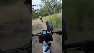 Zipping through the Bosque #ebike