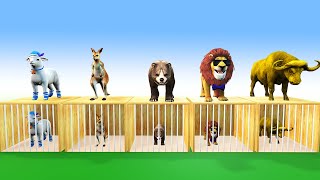 10 funny animals running game challenge Elephant Lion Cow Bear crocodile Tiger Monkey Who will win