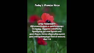 Today's Promise Verse 17 March 24