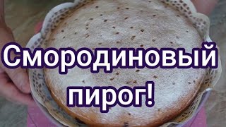 Нежный, вкусный смородиновый пирог! #248