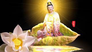 Mẹ Hiền Quan Âm 南無觀世音菩薩聖號 8分鐘 Guanyin 관세음 กวนอิม 観音菩薩