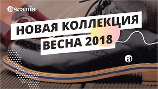 Ascania. Новая коллекция ВЕСНА 2018