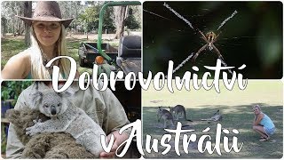 Práce dobrovolníka v Austrálii | WORKAWAY