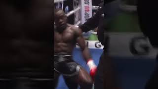 🤔 Was the referee wrong? #shorts #kickboxing #knockout