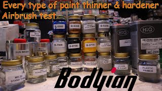 Bodyian automotive paint review