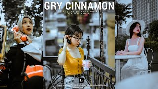 Dark Cinnamon & Grey Tone Effect Lightroom Photo Editing Tutoria | Lightroom Mobile Preset Free 2024