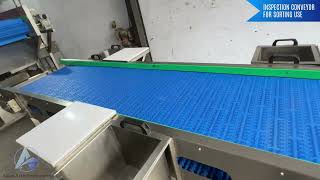 Inspection Conveyor | Sorting Conveyor | PP Modular Conveyor, Inspection Table Conveyor  PU Conveyor