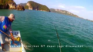 Fly GT guna Popper Fly (Rio)