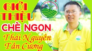 Chè Ngon Thái Nguyên Tân Cương | Trà Thái Nguyên Cao Cấp