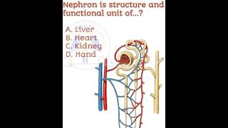 Neet 2023 important question/Neet 2023 updates/Neet 2023/Neet previous years important question#neet