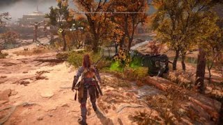 HFW: Aloy wonders if Erend killed the Bristleback