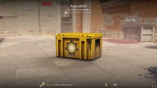 DAY 356 OPENING CS2 CASES UNTIL I GET GOLD!