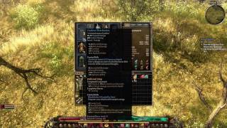 Grim Dawn - Pyromancer and Blade Master Gameplay