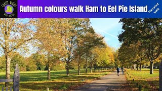 London walk: Autumn colours walk Ham Common to Ham House, River Thames, Eel Pie Island narrated walk