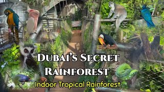 The Green Planet Dubai | Indoor Rainforest | Must Visit | 4K | Tourist Attraction In Dubai