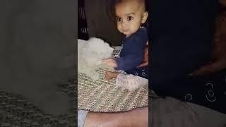 cute baby anabiya enjoy the cat