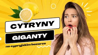 Cytryny giganty na cypryjskim bazarze #cypr #bazar