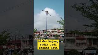 Rimbo Bujang Kini Sudah Menjadi Sebuah Kota Kecil Di Tebo Jambi