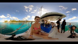 Snorkeling in Cozumel, Mexico in 360°! January 2023