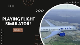 Playing flight simulator!