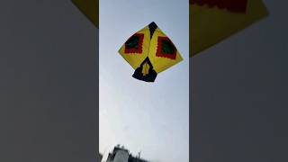 3 Foot Kite flying 🔥(pakistani design) #kiteflying#jammukiteflying‎#Dhruv_03