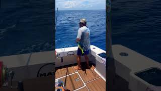 When your just out Tagging Dolphins for research and it’s whips your butt! #risingsons #fishing