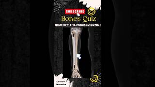 99% people can't answer this question bones quiz , 3d photo of skeleton , muscles quiz