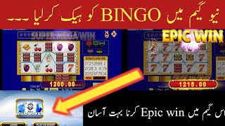 Wild joker new game of 3 Patti| Full review no.1 app|Bingo epic win video|