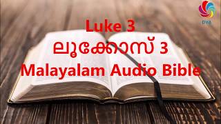 Luke 3 - Malayalam Audio Bible With Verses