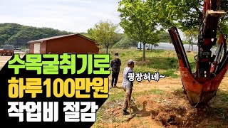 수목굴취기로 하루 100만원 작업비 절감 | 나무대장🌳 나무농사의 모든것