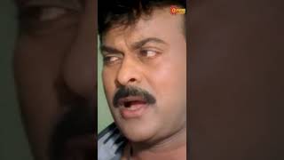 🤣🤣🤣 | Shankar Dada MBBS | Chiranjeevi | Telugu Comedy Scene