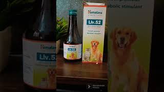 Medicine that every dog owner must have.  #trending #viral #shorts