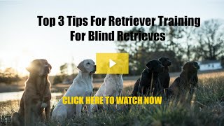 Top 3 Tips For Blind Retrieves