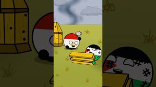 Palestine: Rebuilt Through Countryballs #countryballs