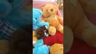 TEDDY BEAR COLLECTION #shorts #shortsvideo #shortvideo #short