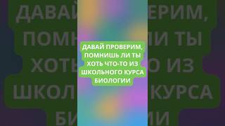 Давай проверим, помнишь ли ты хоть что-то из школьного курса биологии?