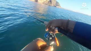 pesca de sierras en mar abierto|| pesca con señuelo||