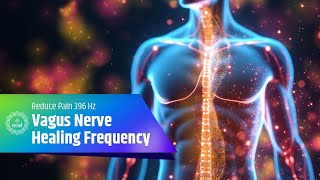 Vagus Nerve Healing Frequency | Reduce Pain and Inflammation with 396 Hz Frequency