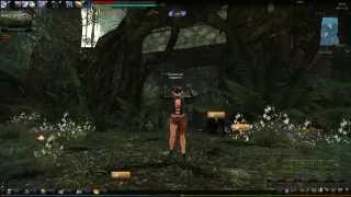 Mabinogi Heroes (Vindictus) - [Deathchief Kielu] Lynn Single Play