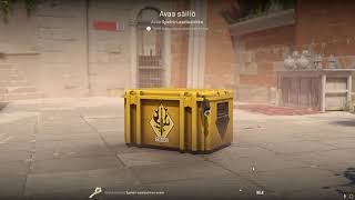 DAY 332 OPENING CS2 CASES UNTIL I GET GOLD!