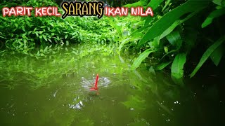 Allhamdulilah,,!! Rejeki Lagi Memancing Di Parit Banyak Ikan Nila Pada Lapar