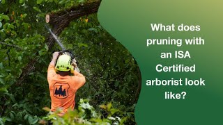 What's it like to have your trees pruned by an ISA Certified Arborist?