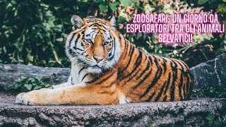 ZooSafari: Un giorno da esploratori tra gli animali selvatici!