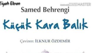 Sesli Kitap Denemesi -Küçük Kara Balık #1