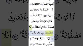 في جنة عاليه القارئ عبدالرحمن مسعد ♥🥺😊 #foryou #quranforpeace #viralvideo #peace #surahadiyat