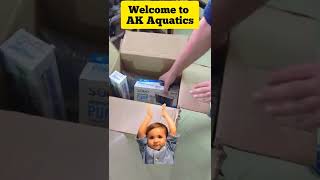 Unboxing Aquarium Fishes and Accessories.....