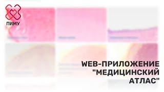 Web-приложение "Медицинский атлас" от Приволжского исследовательского медицинского университета