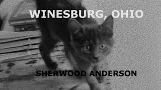 Winesburg, Ohio. Sherwood Anderson. VOZ HUMANA